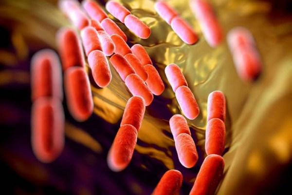 Probiotics and Acne: Do Probiotics Help Acne?